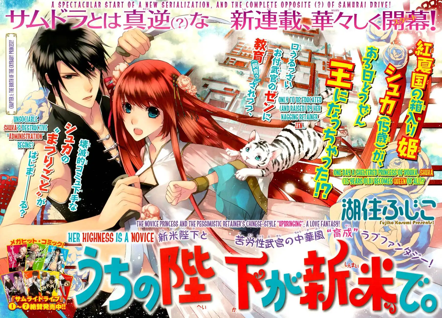 Uchi no Heika ga Shinmai de. Chapter 1 3